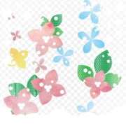 ヒメ日記 2024/12/14 00:22 投稿 香嶋いず美 五十路マダム 徳島店