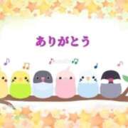 ヒメ日記 2025/02/03 15:18 投稿 香嶋いず美 五十路マダム 徳島店