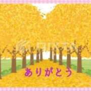 ヒメ日記 2025/02/25 15:44 投稿 香嶋いず美 五十路マダム 徳島店