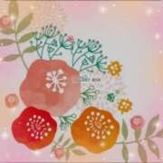 ヒメ日記 2025/03/13 12:58 投稿 香嶋いず美 五十路マダム 徳島店