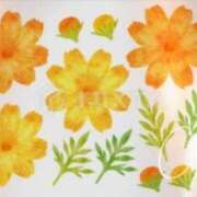 ヒメ日記 2025/03/17 19:08 投稿 香嶋いず美 五十路マダム 徳島店