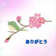 ヒメ日記 2025/03/30 15:04 投稿 香嶋いず美 五十路マダム 徳島店