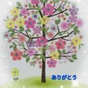 ヒメ日記 2025/04/21 20:20 投稿 香嶋いず美 五十路マダム 徳島店