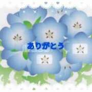 ヒメ日記 2025/05/02 21:12 投稿 香嶋いず美 五十路マダム 徳島店