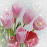 ヒメ日記 2025/05/15 18:04 投稿 香嶋いず美 五十路マダム 徳島店