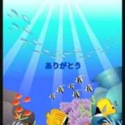 ヒメ日記 2025/05/30 22:42 投稿 香嶋いず美 五十路マダム 徳島店
