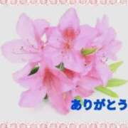 ヒメ日記 2025/06/04 17:16 投稿 香嶋いず美 五十路マダム 徳島店