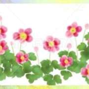 ヒメ日記 2025/07/08 23:28 投稿 香嶋いず美 五十路マダム 徳島店