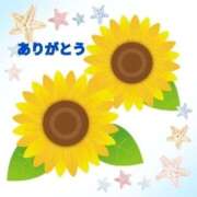 ヒメ日記 2025/07/22 16:04 投稿 香嶋いず美 五十路マダム 徳島店