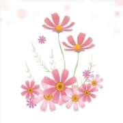 ヒメ日記 2025/09/25 17:48 投稿 香嶋いず美 五十路マダム 徳島店