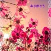 ヒメ日記 2025/10/10 17:26 投稿 香嶋いず美 五十路マダム 徳島店