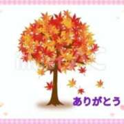 ヒメ日記 2025/10/17 16:04 投稿 香嶋いず美 五十路マダム 徳島店