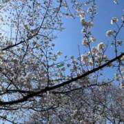 ヒメ日記 2025/04/12 11:29 投稿 のあ G-SCANDAL