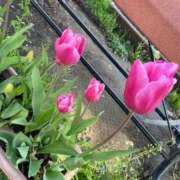 ヒメ日記 2025/04/28 18:29 投稿 のあ G-SCANDAL