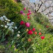 ヒメ日記 2025/05/13 18:39 投稿 のあ G-SCANDAL