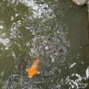 ヒメ日記 2025/05/19 19:29 投稿 のあ G-SCANDAL