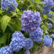 ヒメ日記 2025/05/29 18:39 投稿 のあ G-SCANDAL