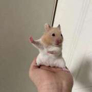 ヒメ日記 2026/01/23 20:29 投稿 のあ G-SCANDAL