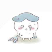 ヒメ日記 2025/04/10 14:23 投稿 しほ 手コキガールズコレクション