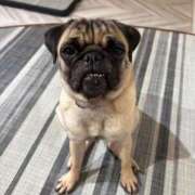 ヒメ日記 2025/09/15 22:58 投稿 えりな おふくろさんYO!!大和店