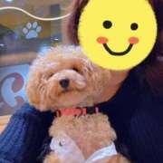 ヒメ日記 2025/10/06 15:18 投稿 えりな おふくろさんYO!!大和店