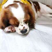 ヒメ日記 2025/10/26 17:38 投稿 えりな おふくろさんYO!!大和店