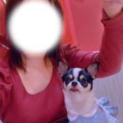 ヒメ日記 2025/11/01 23:08 投稿 えりな おふくろさんYO!!大和店