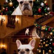 ヒメ日記 2025/12/06 22:28 投稿 えりな おふくろさんYO!!大和店