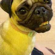 ヒメ日記 2026/02/26 00:28 投稿 えりな おふくろさんYO!!大和店