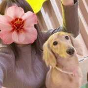 ヒメ日記 2026/02/26 17:28 投稿 えりな おふくろさんYO!!大和店