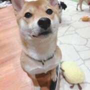 ヒメ日記 2026/03/17 14:08 投稿 えりな おふくろさんYO!!大和店