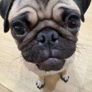 ヒメ日記 2026/03/29 23:48 投稿 えりな おふくろさんYO!!大和店