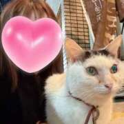 ヒメ日記 2026/04/07 12:08 投稿 えりな おふくろさんYO!!大和店