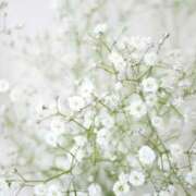 ヒメ日記 2025/03/21 16:14 投稿 のりか 熟女の風俗最終章 仙台店