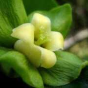 ヒメ日記 2025/11/03 08:51 投稿 のりか 熟女の風俗最終章 仙台店