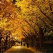 ヒメ日記 2025/11/29 13:04 投稿 のりか 熟女の風俗最終章 仙台店