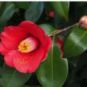 ヒメ日記 2025/12/06 18:41 投稿 のりか 熟女の風俗最終章 仙台店