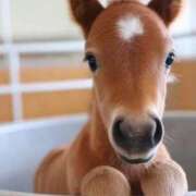 ヒメ日記 2026/01/03 19:59 投稿 のりか 熟女の風俗最終章 仙台店