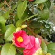 ヒメ日記 2026/01/26 12:04 投稿 のりか 熟女の風俗最終章 仙台店