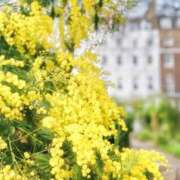 のりか 土曜日出勤します。 熟女の風俗最終章 仙台店