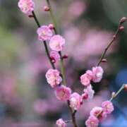 ヒメ日記 2026/02/18 17:06 投稿 のりか 熟女の風俗最終章 仙台店