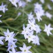 ヒメ日記 2026/03/09 08:48 投稿 のりか 熟女の風俗最終章 仙台店