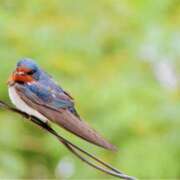 ヒメ日記 2026/03/11 19:24 投稿 のりか 熟女の風俗最終章 仙台店