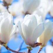 ヒメ日記 2026/04/03 10:26 投稿 のりか 熟女の風俗最終章 仙台店