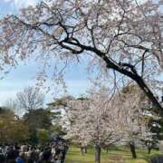 ヒメ日記 2025/04/05 19:23 投稿 牧村彩加 プレジデントハウス