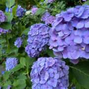 ヒメ日記 2025/09/15 10:39 投稿 牧村彩加 プレジデントハウス