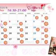 ヒメ日記 2026/04/24 13:43 投稿 牧村彩加 プレジデントハウス