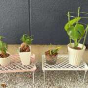 ヒメ日記 2025/05/14 12:10 投稿 平野 熟女待機所 厚木店