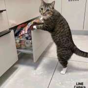 ヒメ日記 2025/06/03 19:40 投稿 平野 熟女待機所 厚木店