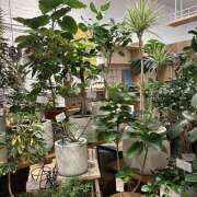 ヒメ日記 2025/06/04 13:30 投稿 平野 熟女待機所 厚木店